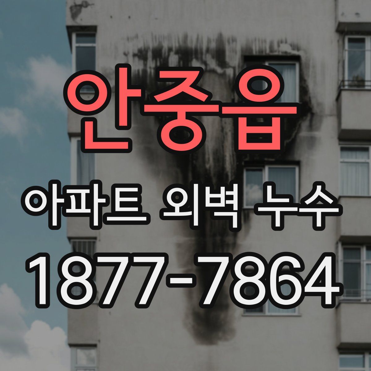 안중읍 아파트 외벽 누수