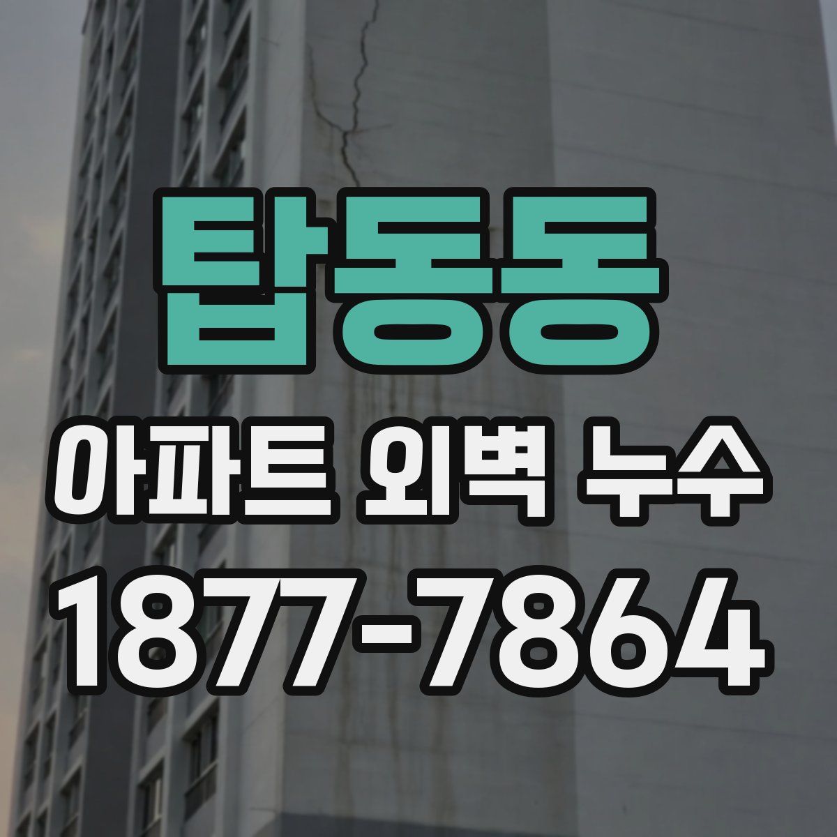 탑동동 아파트 외벽 누수