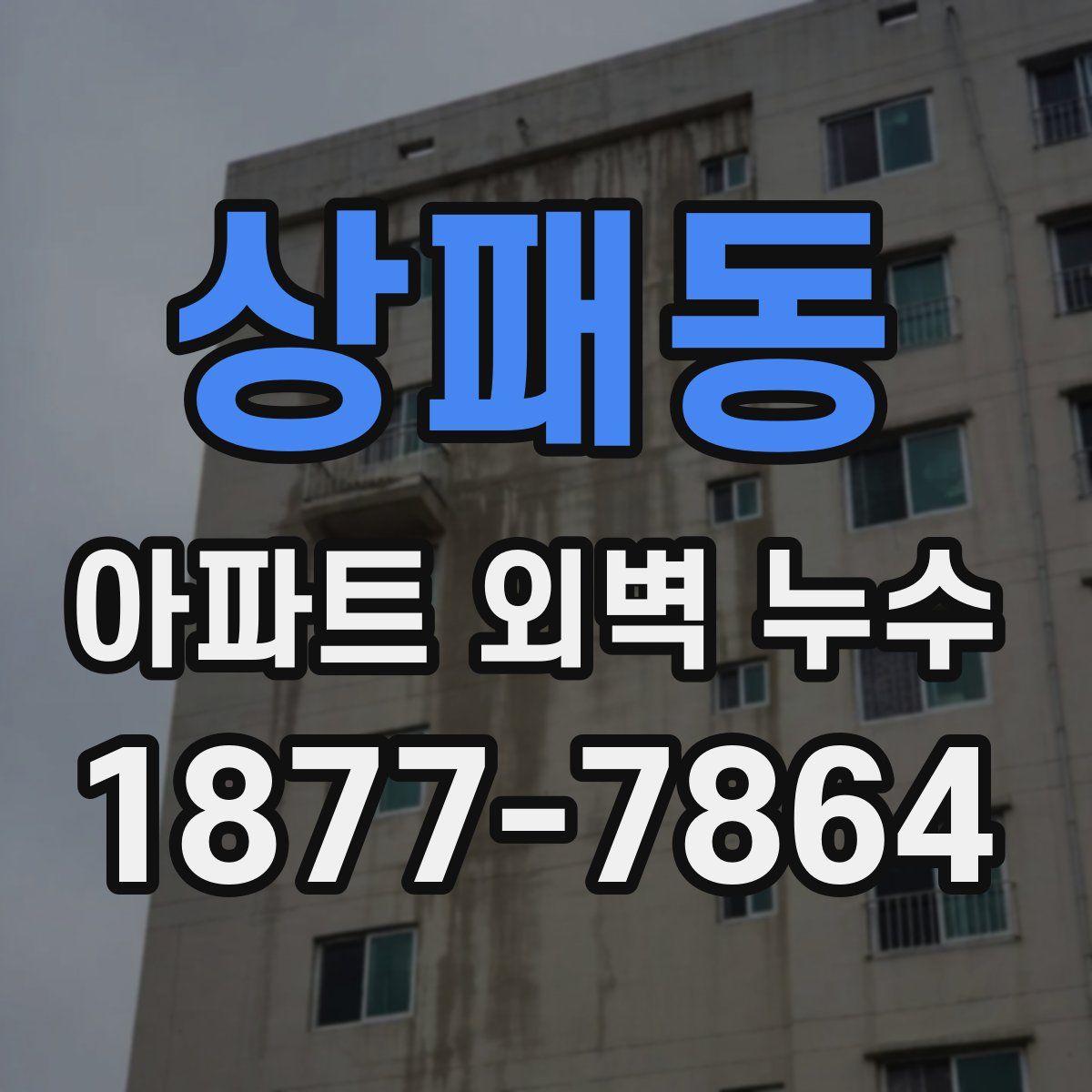 상패동 아파트 외벽 누수