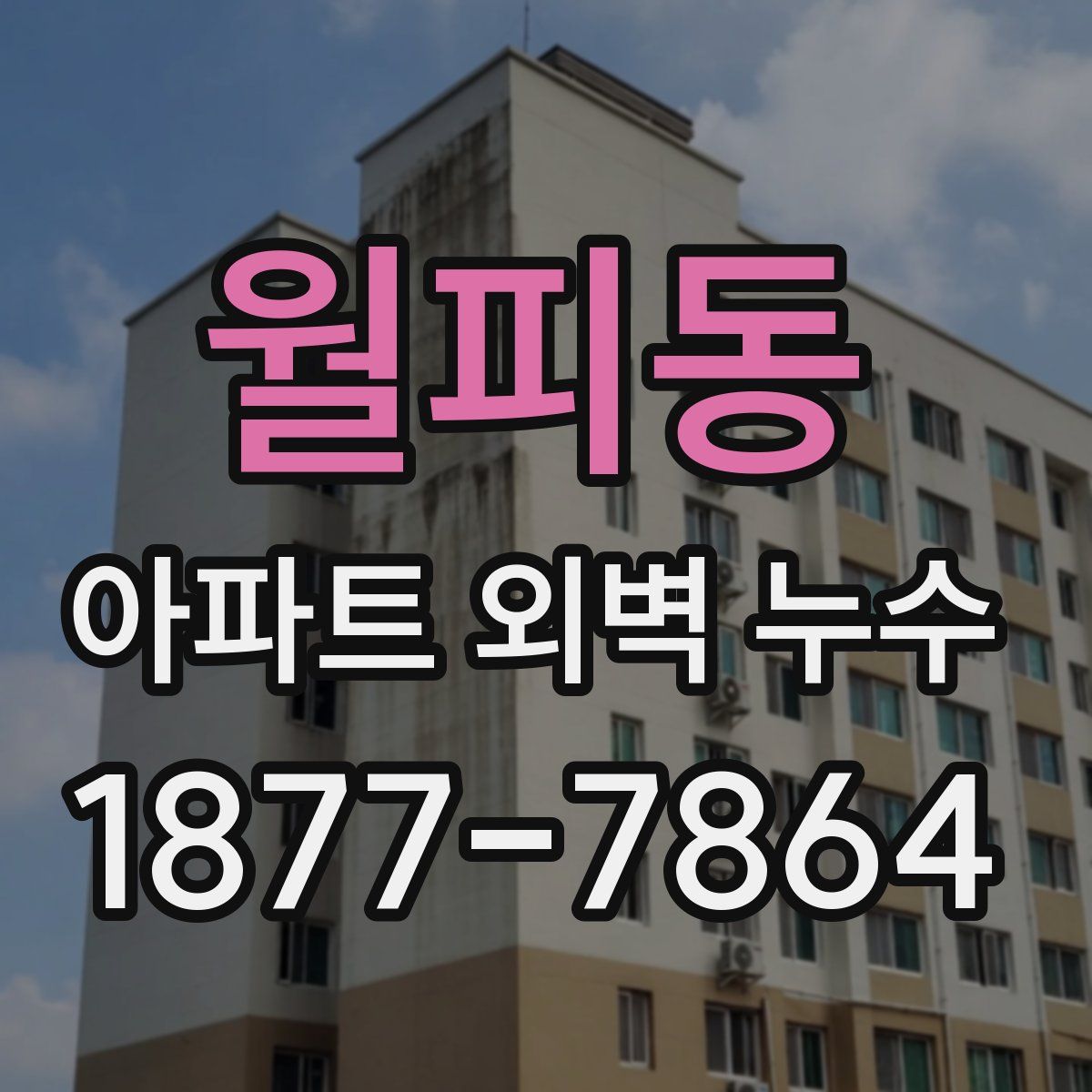 월피동 아파트 외벽 누수