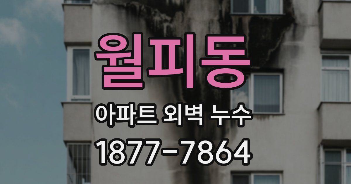 월피동 아파트 외벽 누수