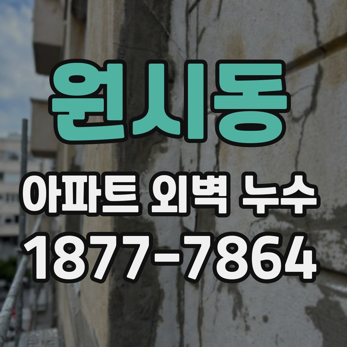 원시동 아파트 외벽 누수