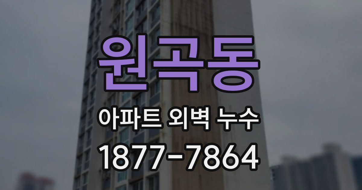 원곡동 아파트 외벽 누수