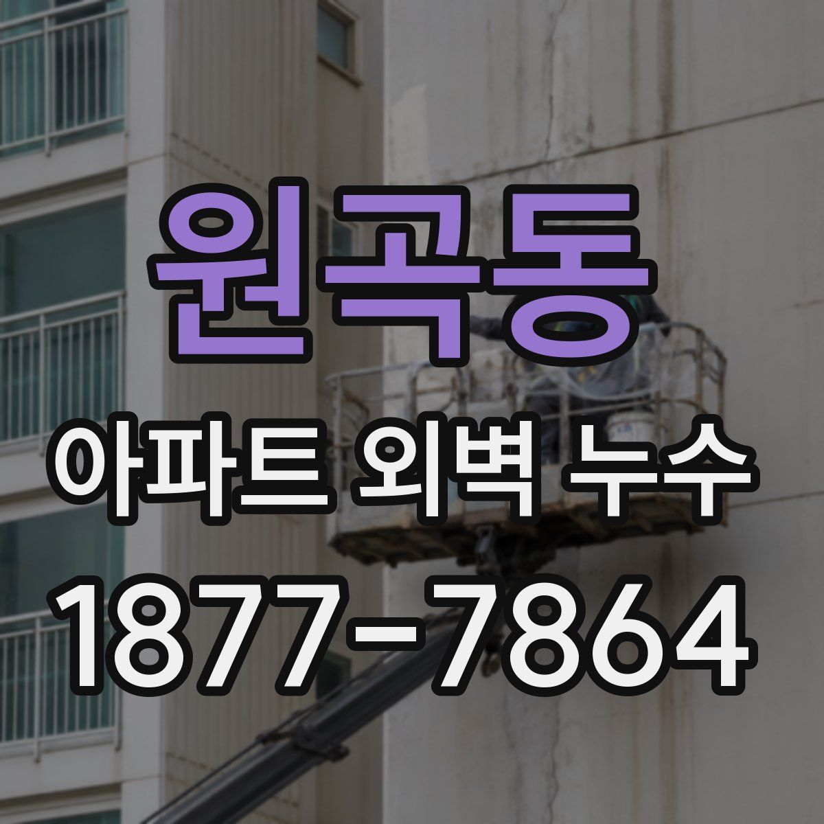 원곡동 아파트 외벽 누수