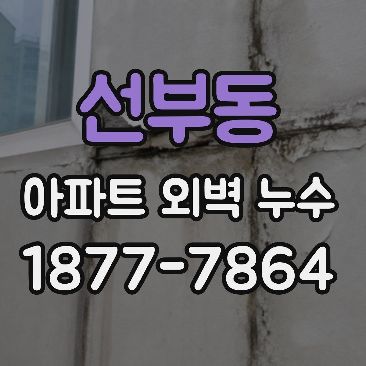 선부동 아파트 외벽 누수