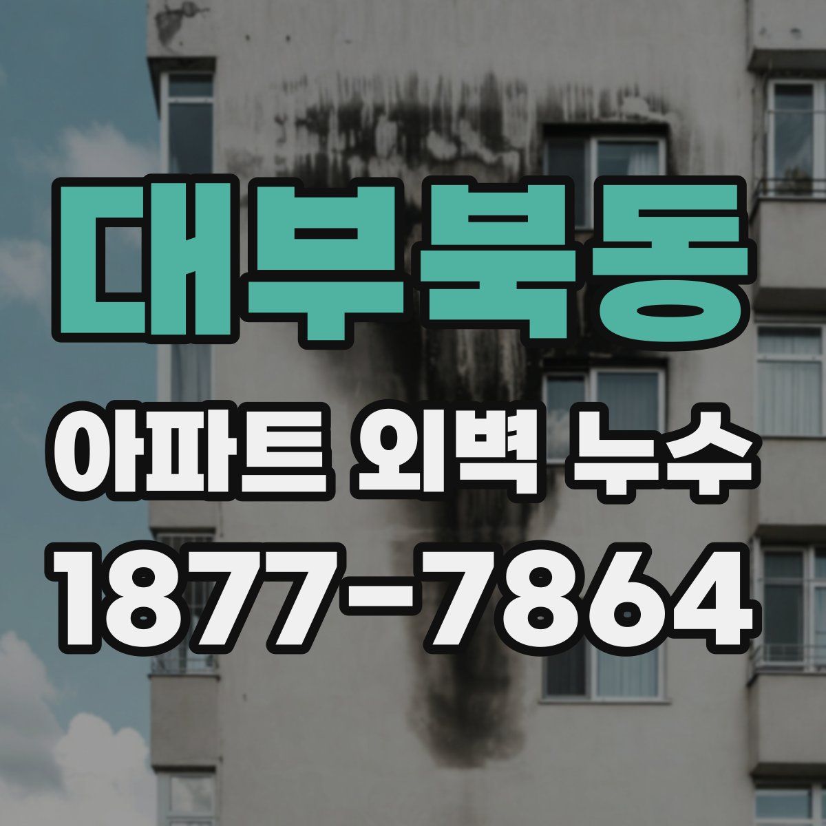 대부북동 아파트 외벽 누수