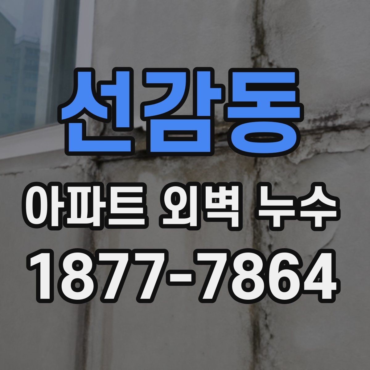 선감동 아파트 외벽 누수