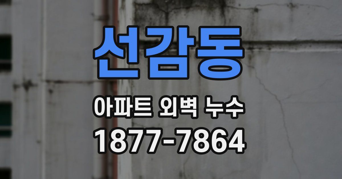 선감동 아파트 외벽 누수