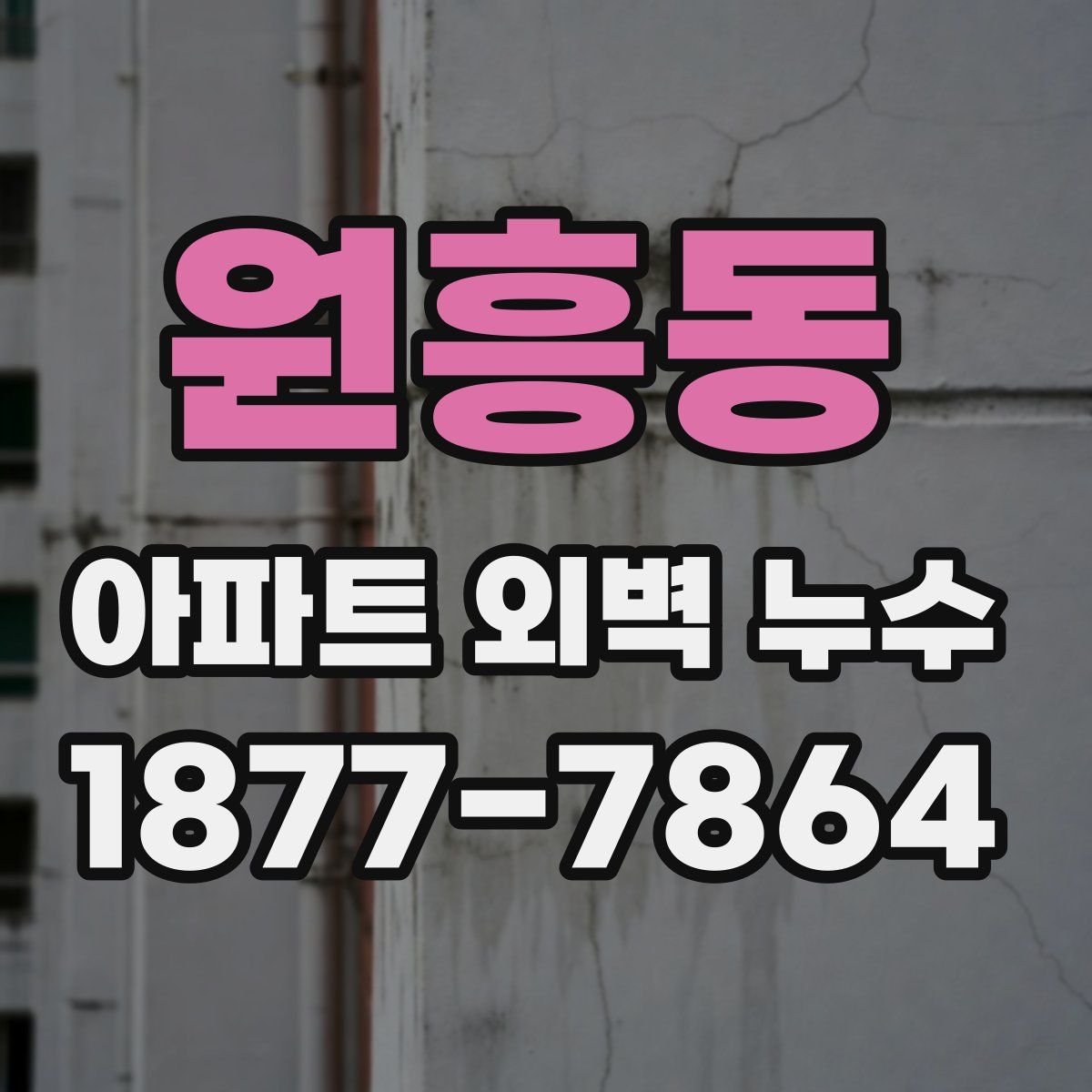 원흥동 아파트 외벽 누수