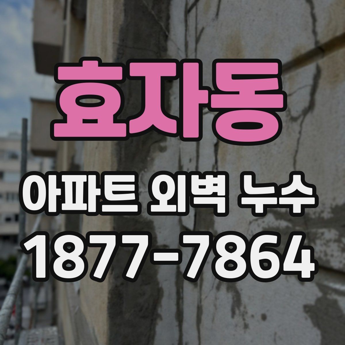 효자동 아파트 외벽 누수 의심 증상과 점검 방법 순서