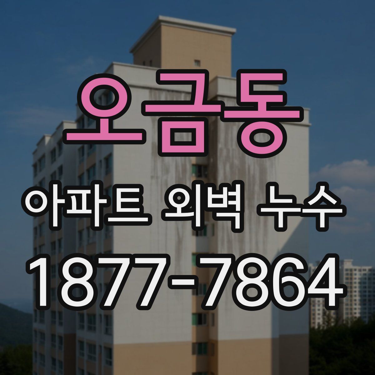 오금동 아파트 외벽 누수