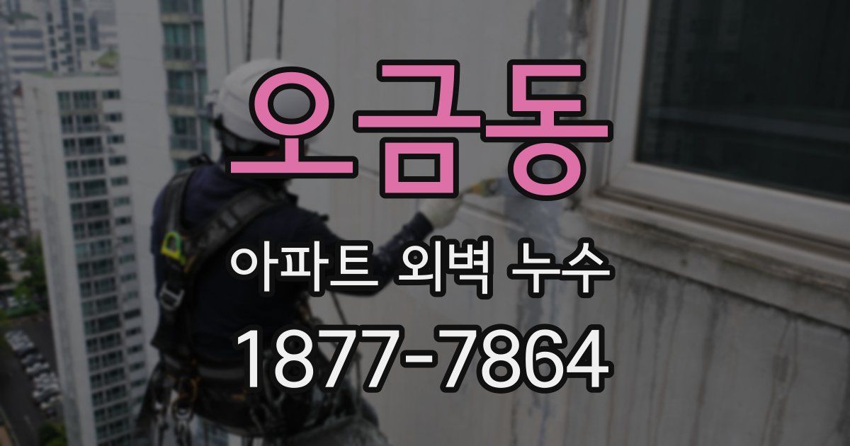 오금동 아파트 외벽 누수