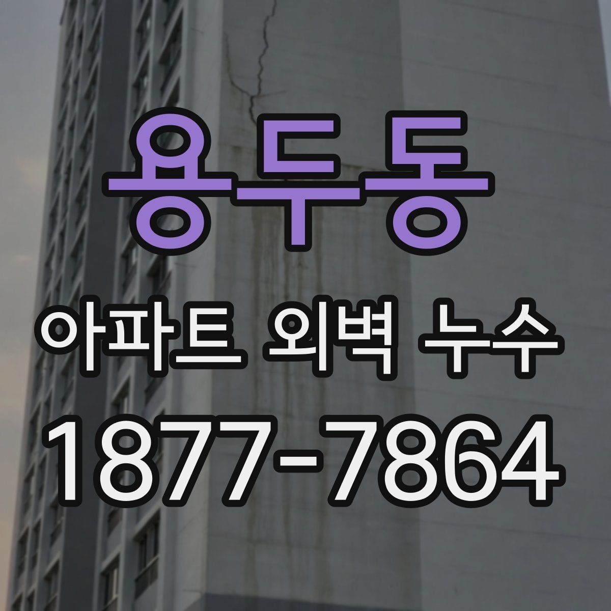 용두동 아파트 외벽 누수