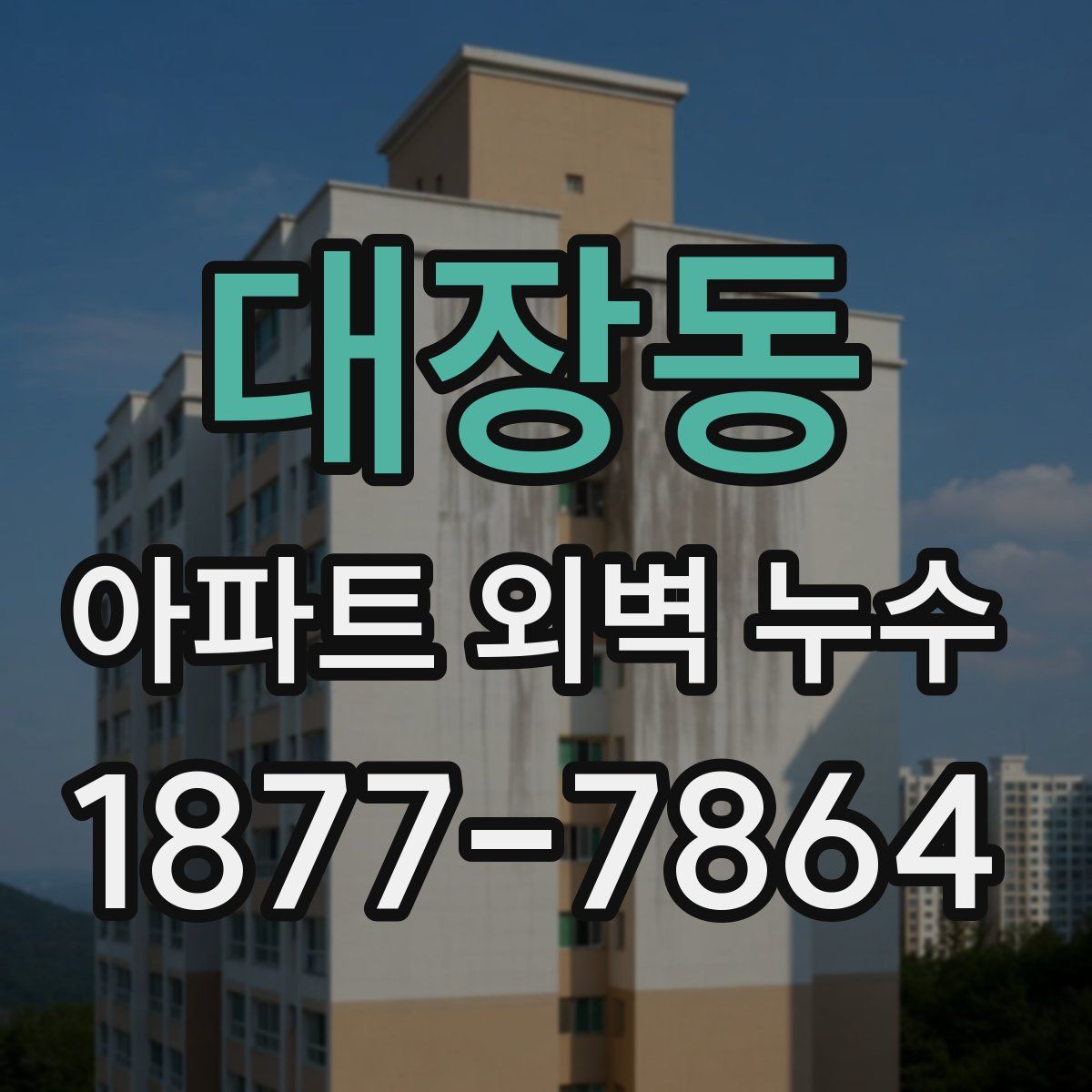 대장동 아파트 외벽 누수