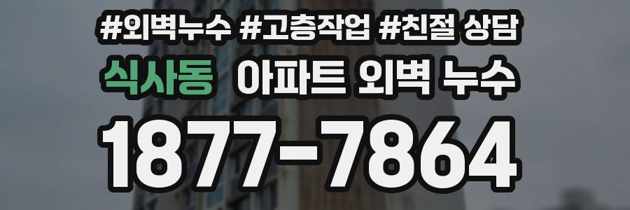 식사동 아파트 외벽 누수