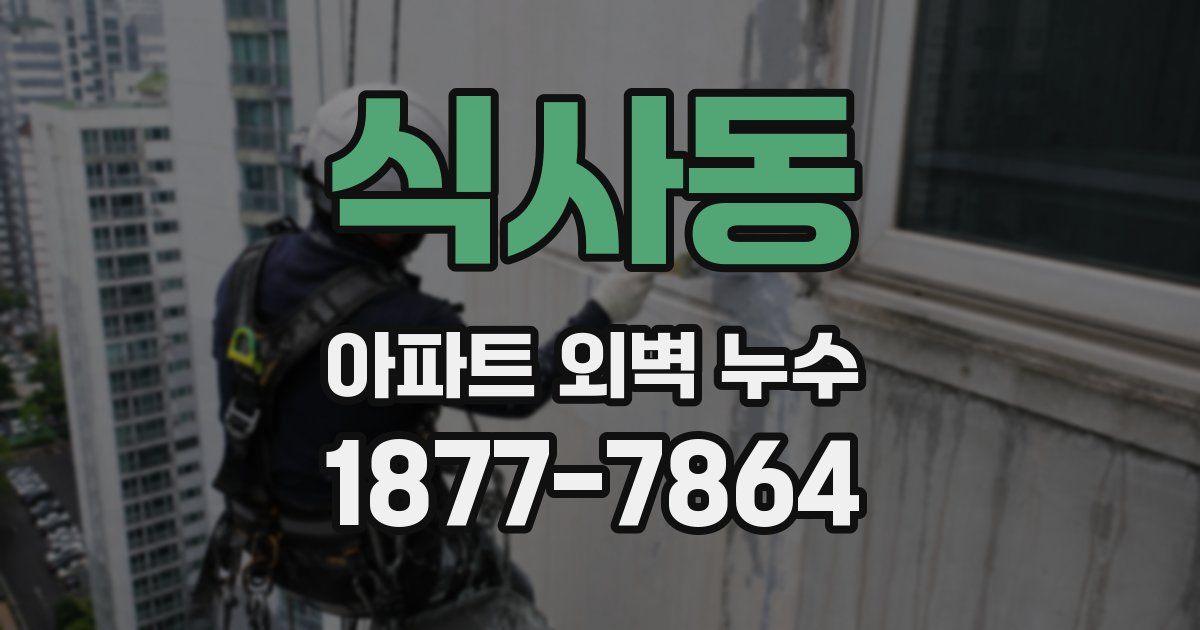 식사동 아파트 외벽 누수