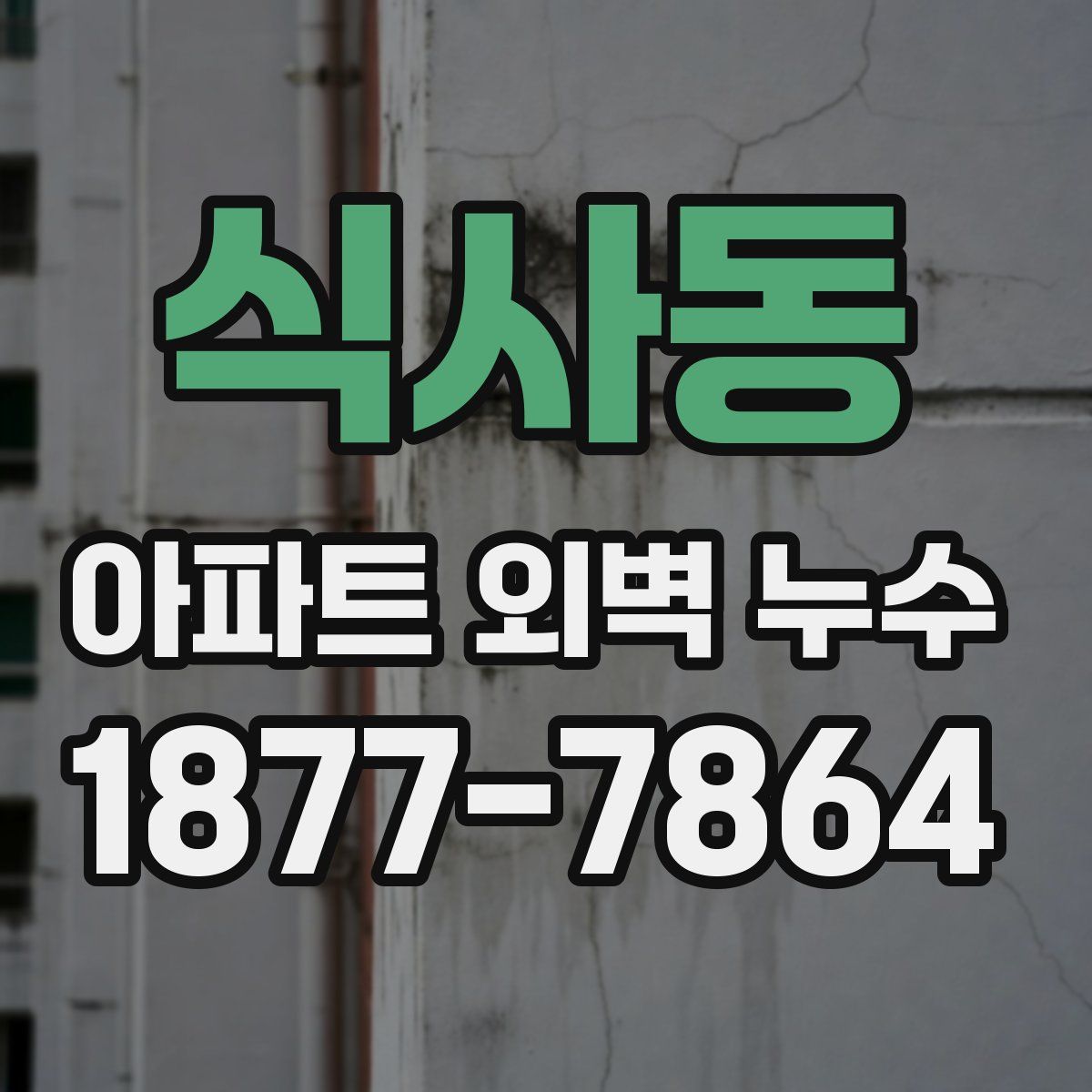 식사동 아파트 외벽 누수