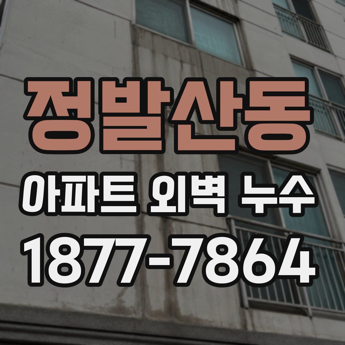 정발산동 아파트 외벽 누수