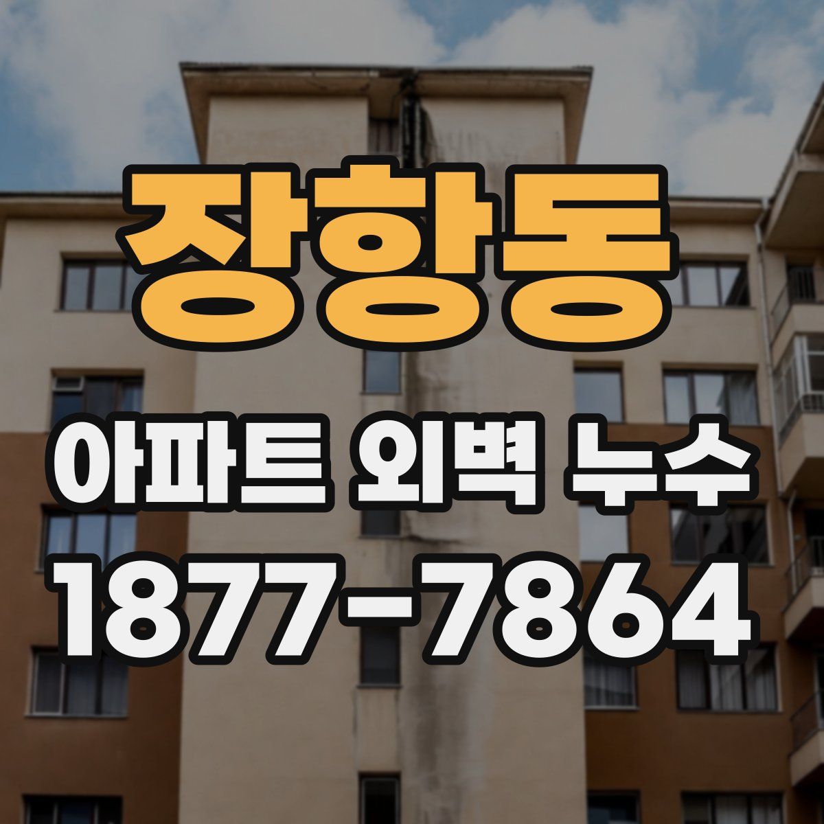장항동 아파트 외벽 누수