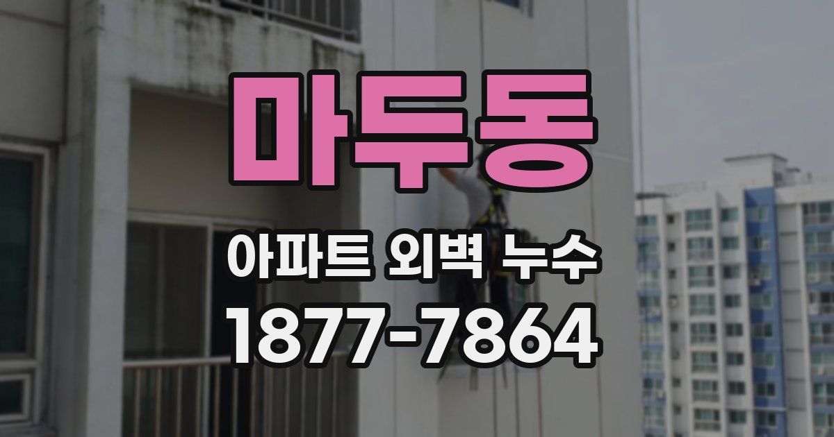 마두동 아파트 외벽 누수