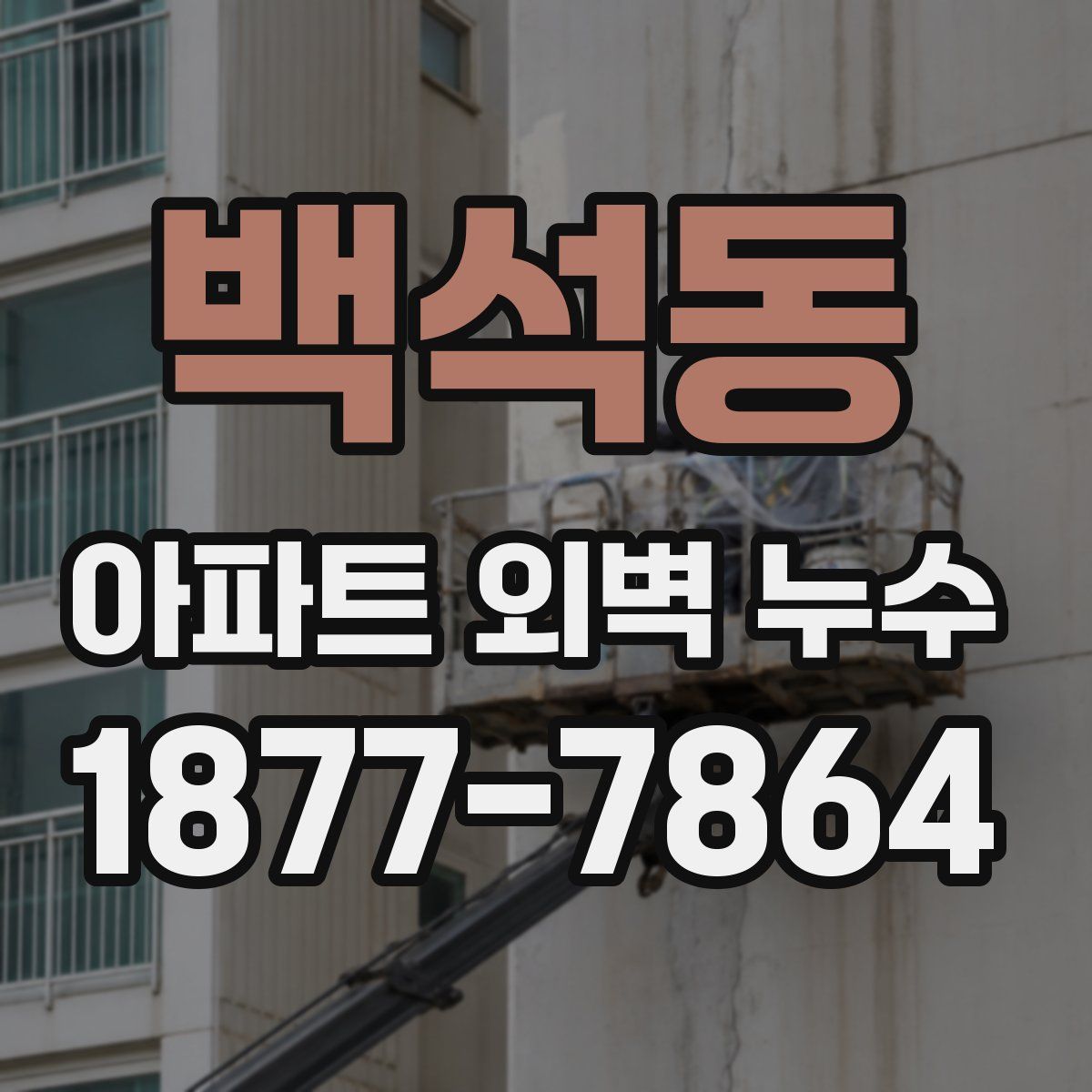 백석동 아파트 외벽 누수