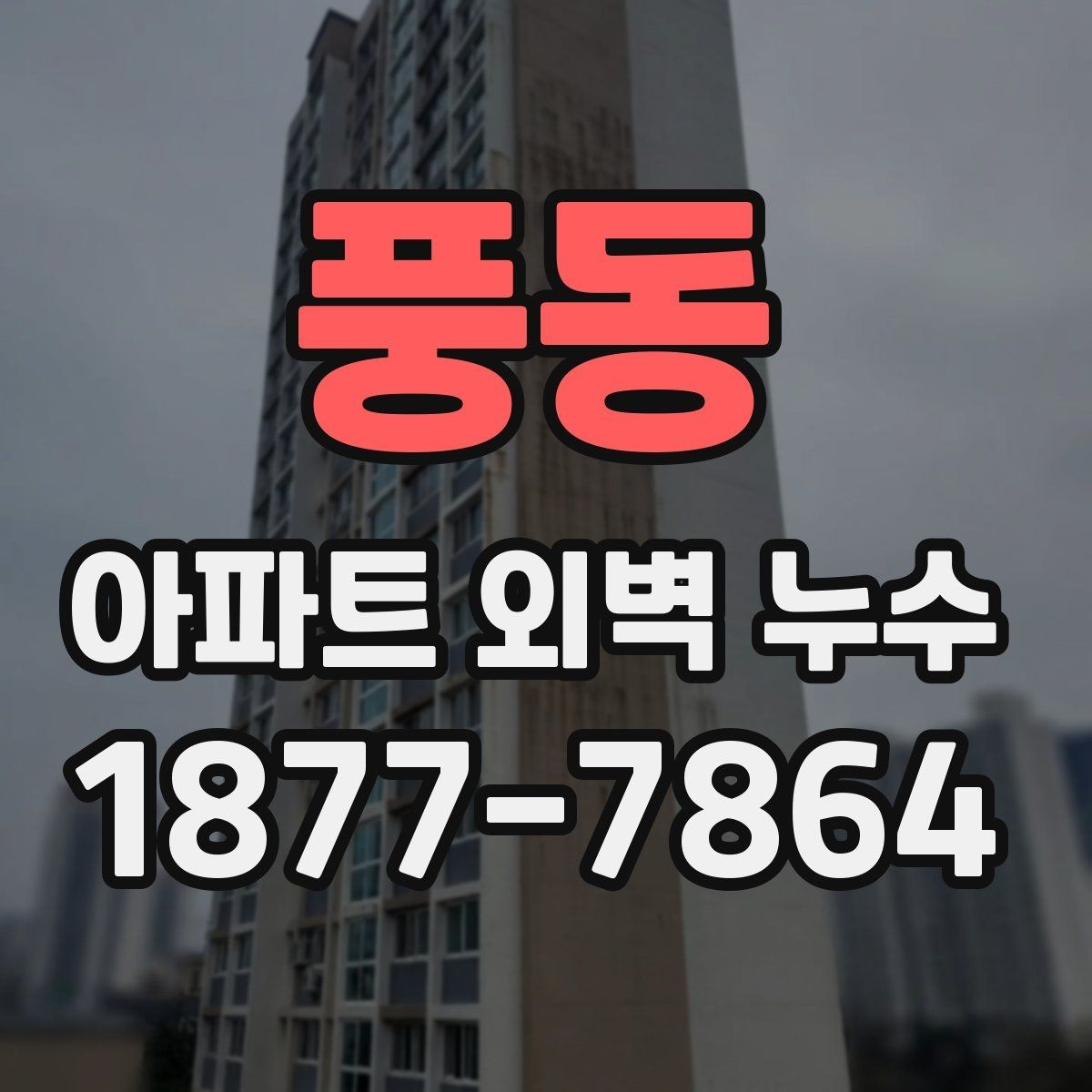 풍동 아파트 외벽 누수 해결 전 체크리스트