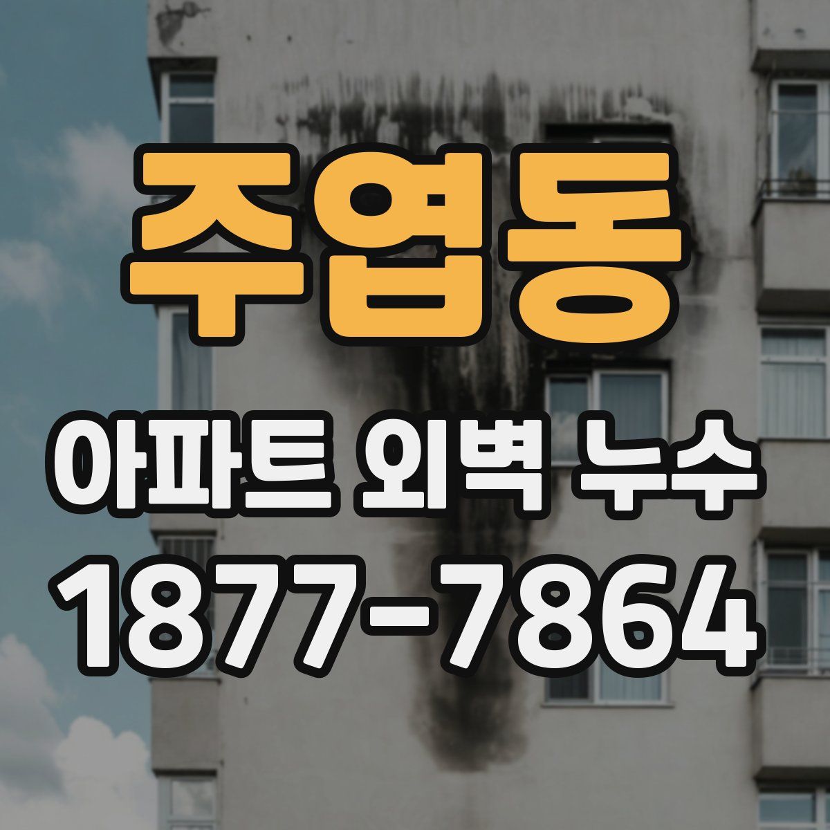 주엽동 아파트 외벽 누수