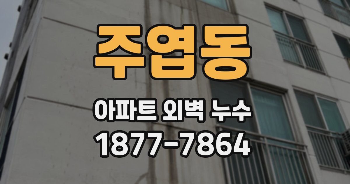 주엽동 아파트 외벽 누수