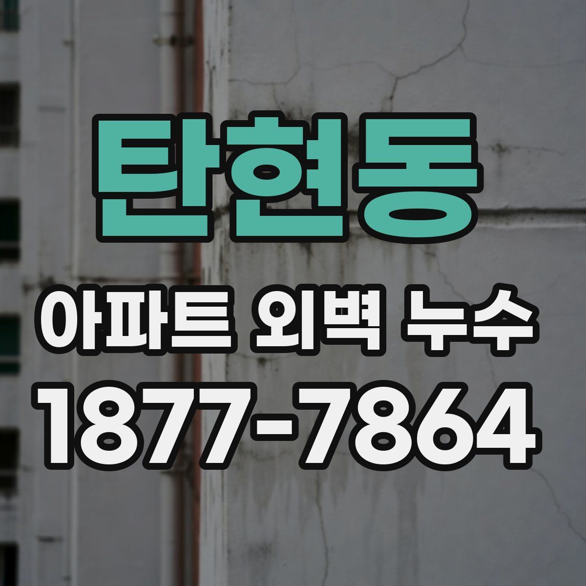 탄현동 아파트 외벽 누수