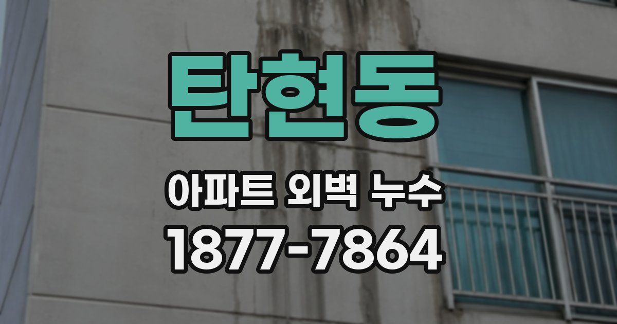 탄현동 아파트 외벽 누수