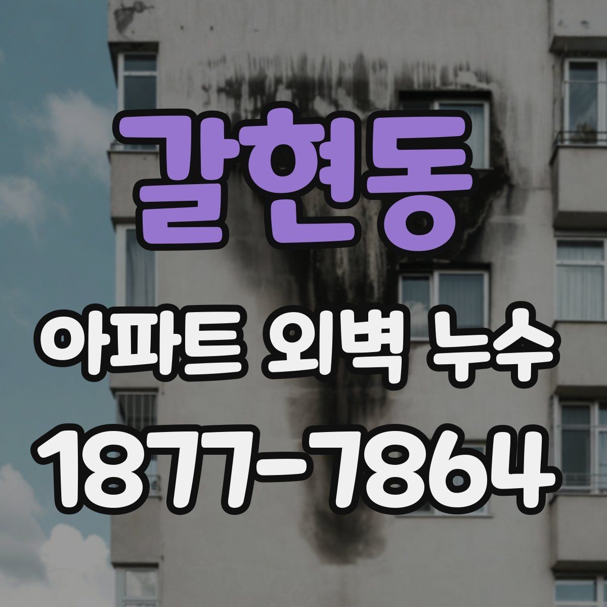 갈현동 아파트 외벽 누수 진단에서 자주 보는 항목