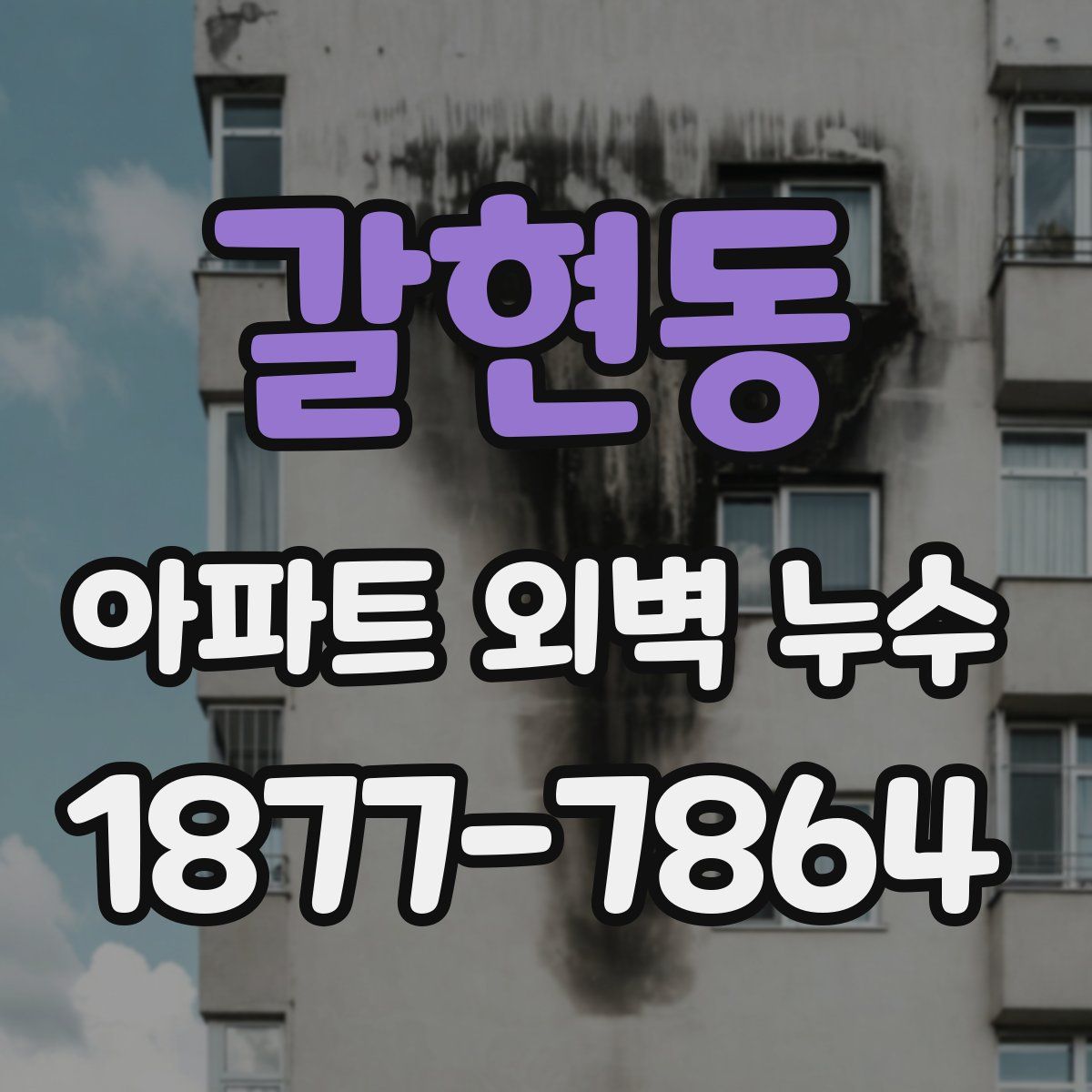 갈현동 아파트 외벽 누수