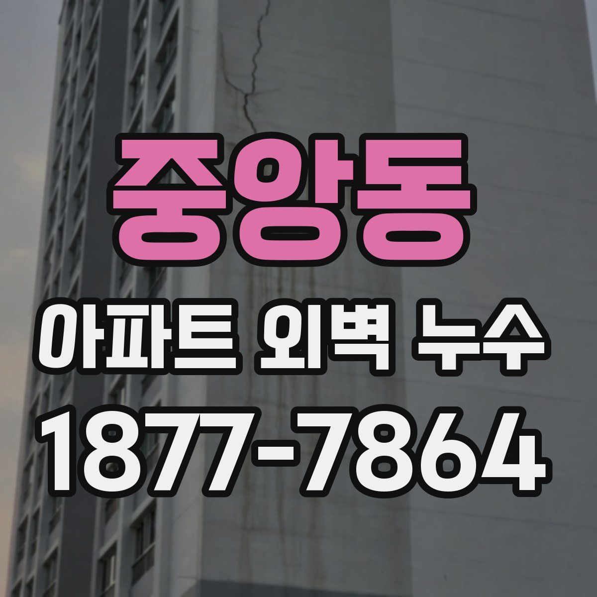 중앙동 아파트 외벽 누수