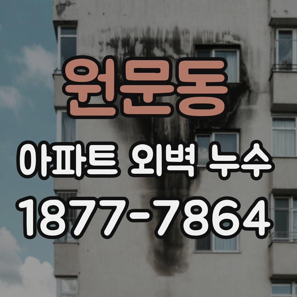 원문동 아파트 외벽 누수