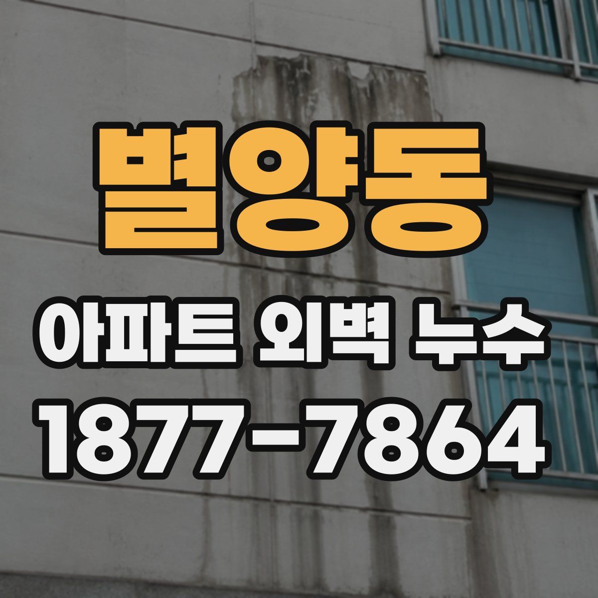 별양동 아파트 외벽 누수