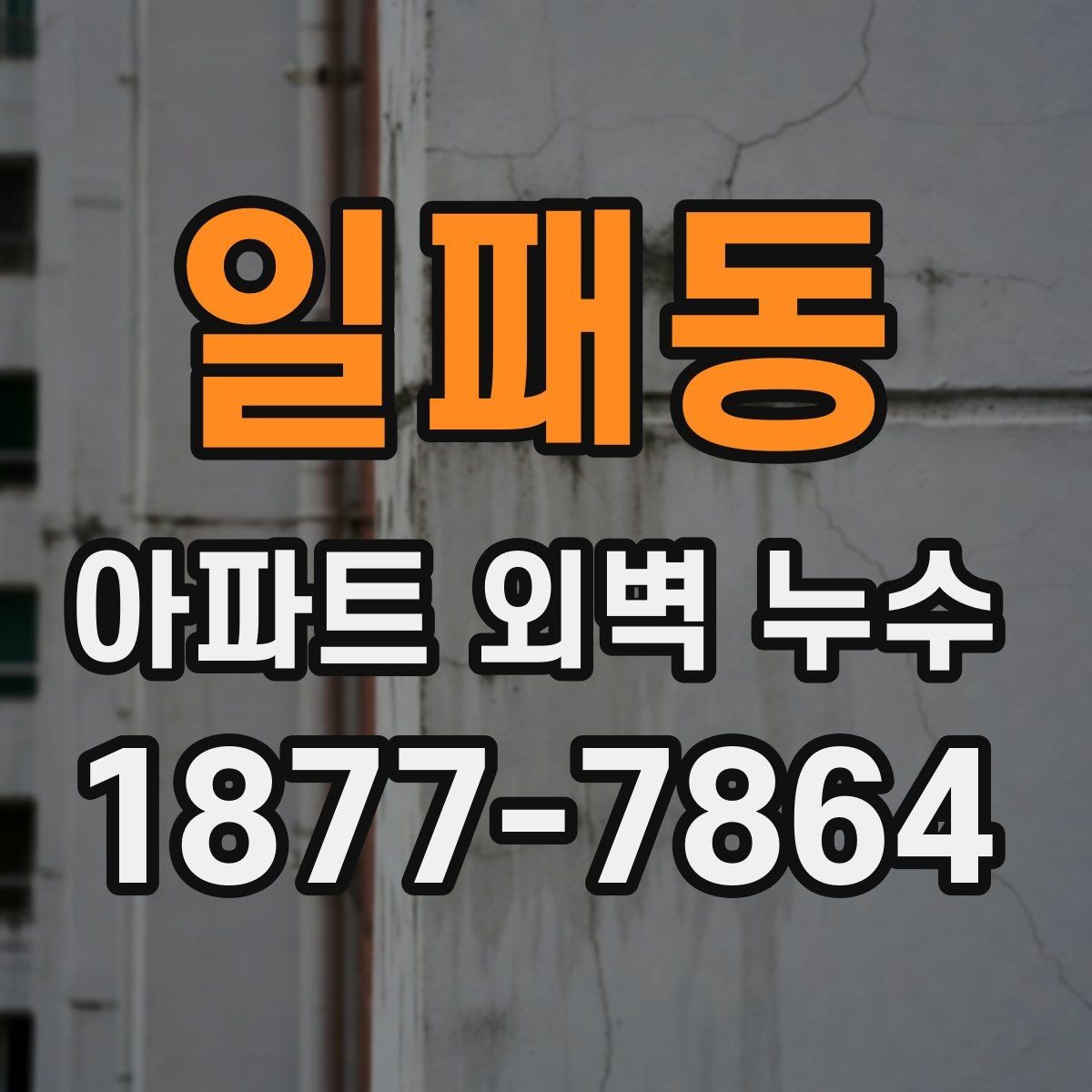 일패동 아파트 외벽 누수 전문 진단이 필요한 경우