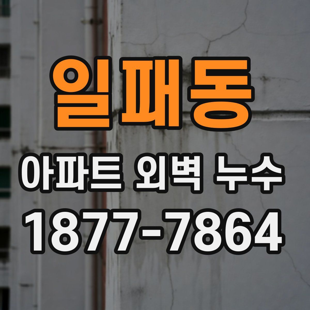 일패동 아파트 외벽 누수