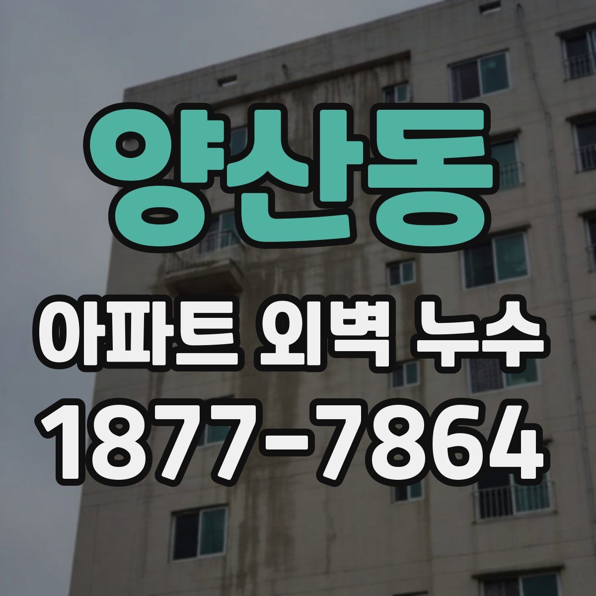양산동 아파트 외벽 누수
