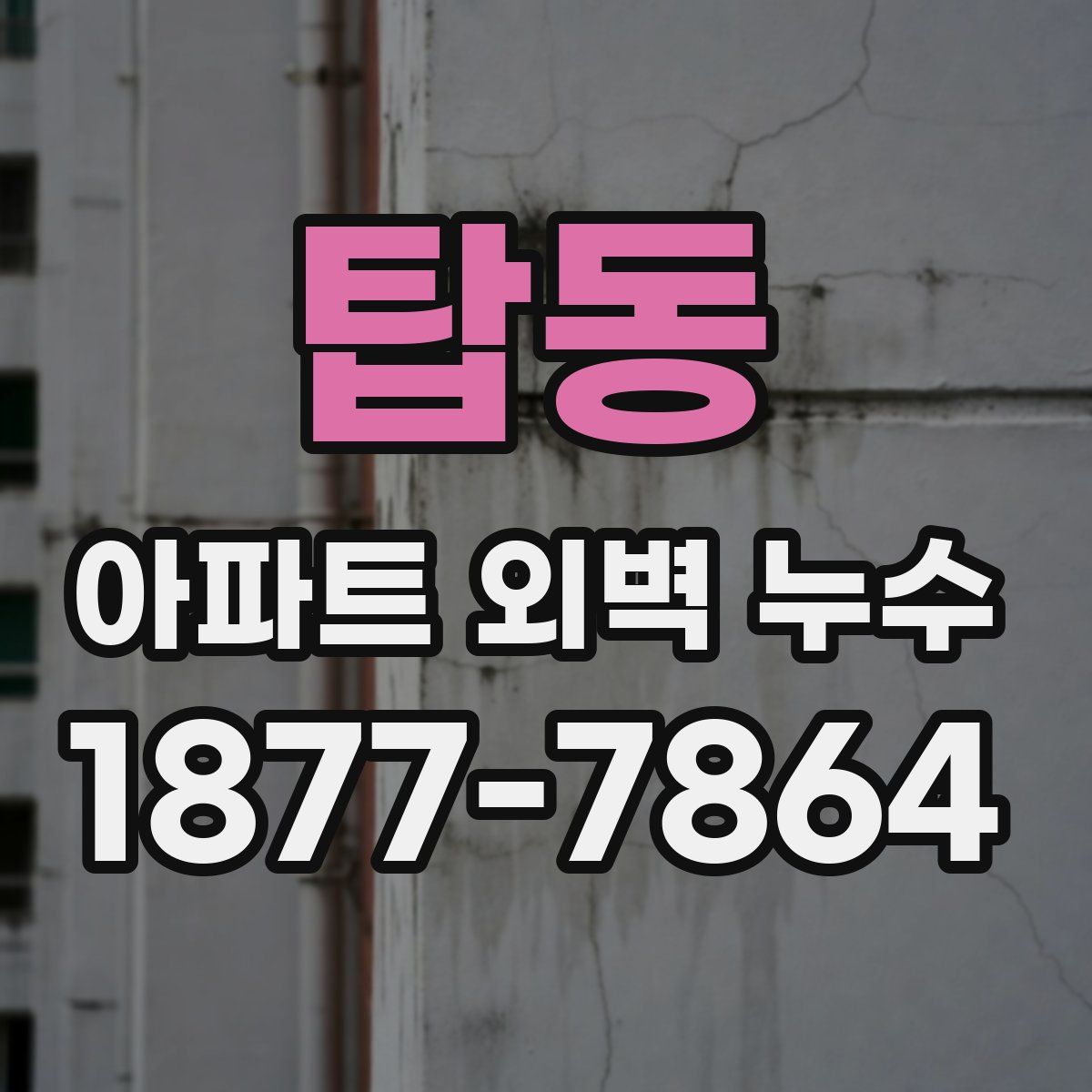 탑동 아파트 외벽 누수