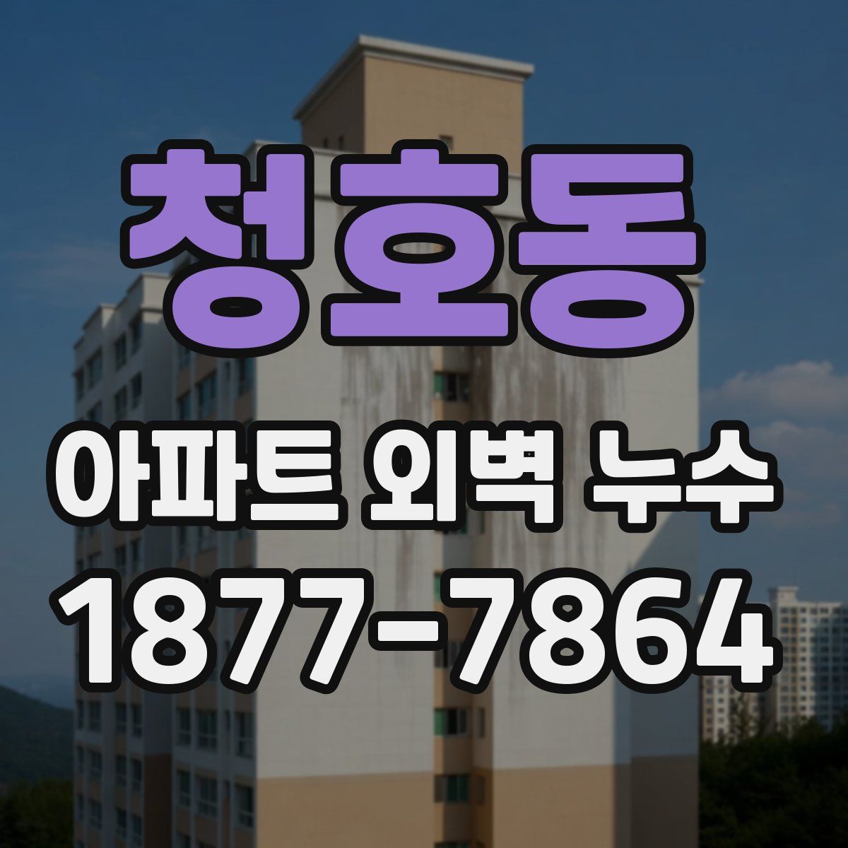 청호동 아파트 외벽 누수