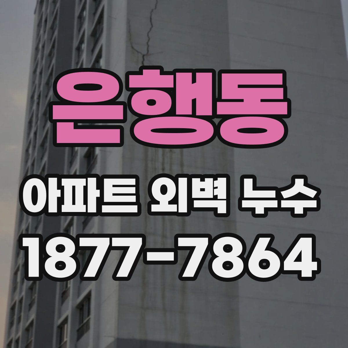은행동 아파트 외벽 누수