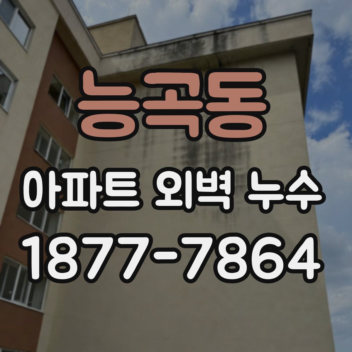 능곡동 아파트 외벽 누수