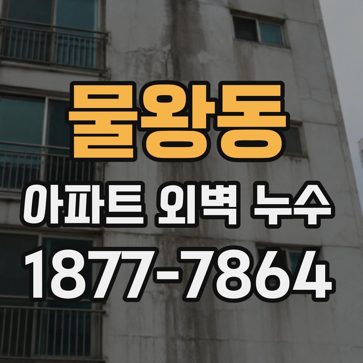 물왕동 아파트 외벽 누수