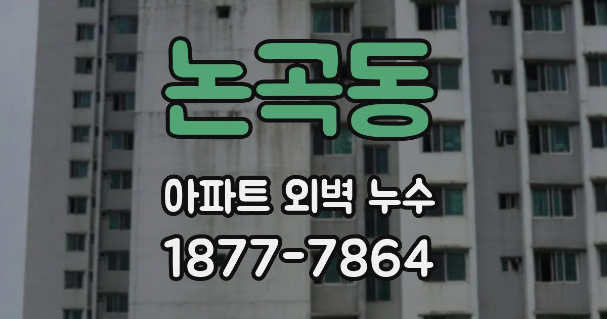 논곡동 아파트 외벽 누수