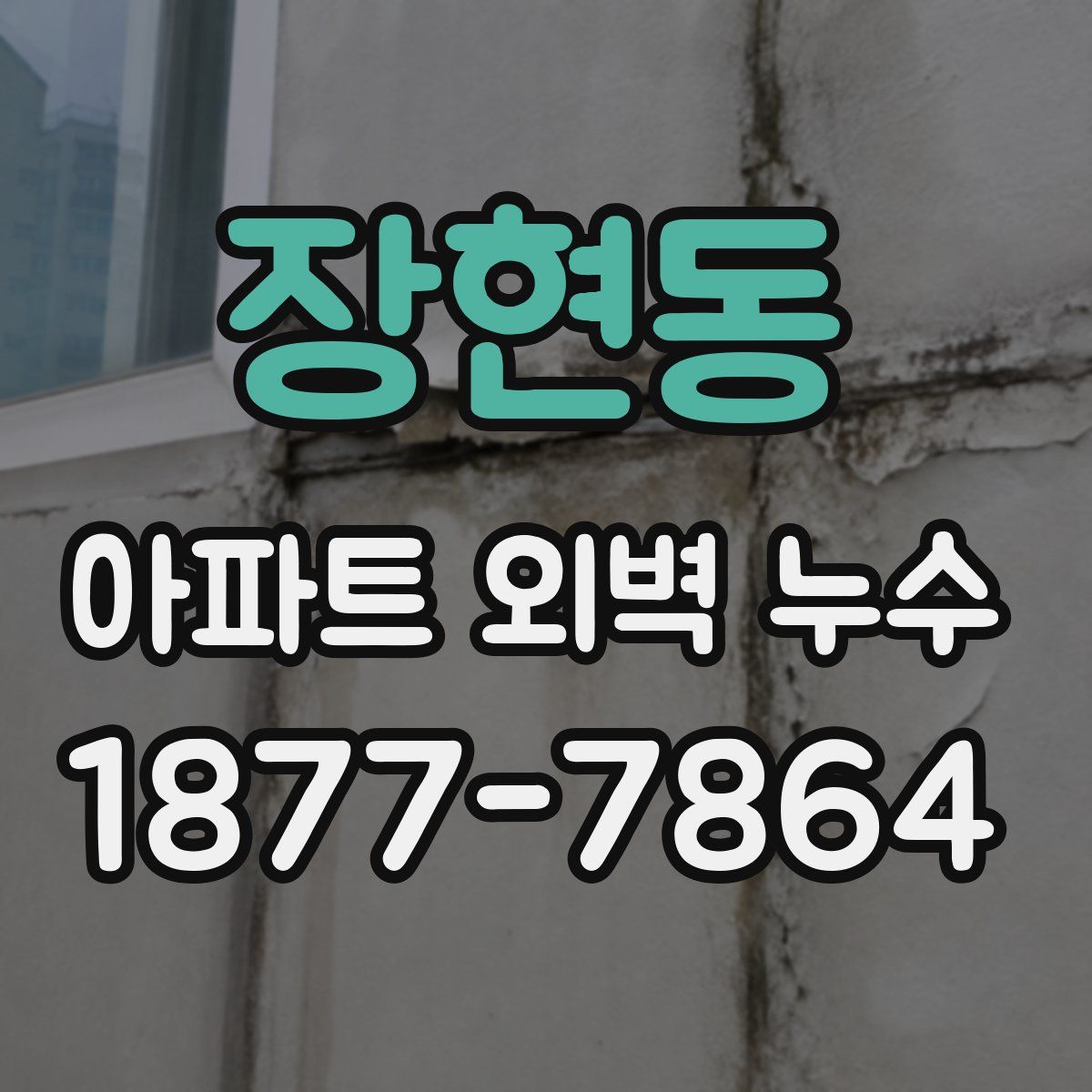 장현동 아파트 외벽 누수