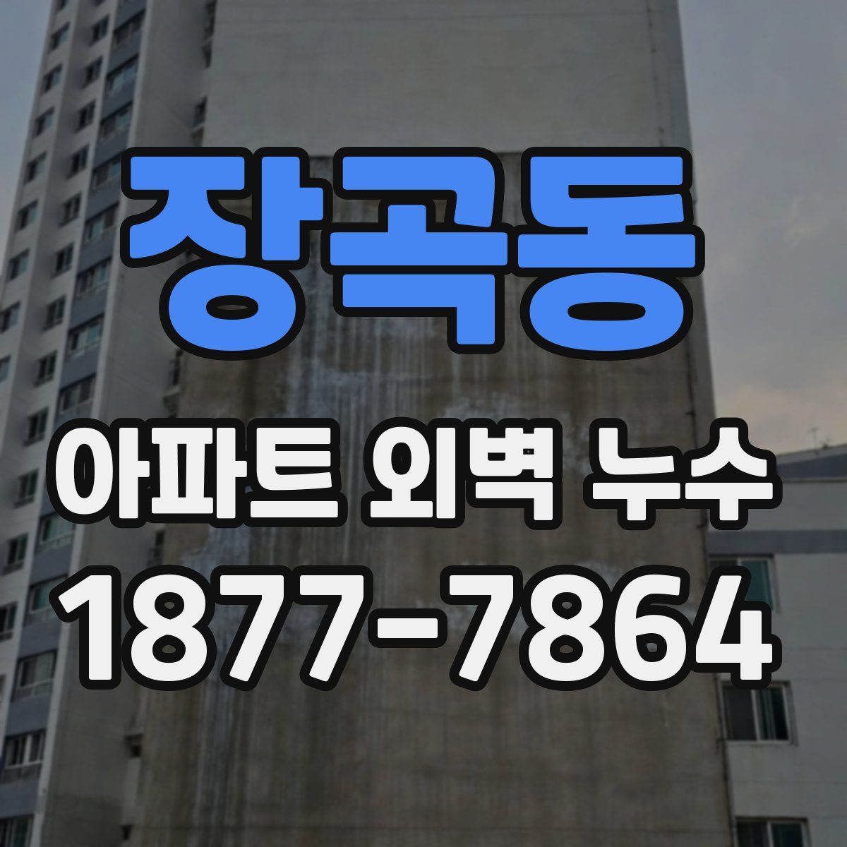 장곡동 아파트 외벽 누수