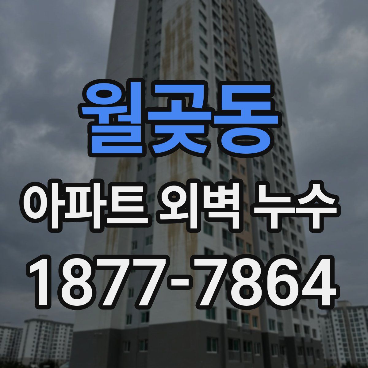 월곶동 아파트 외벽 누수
