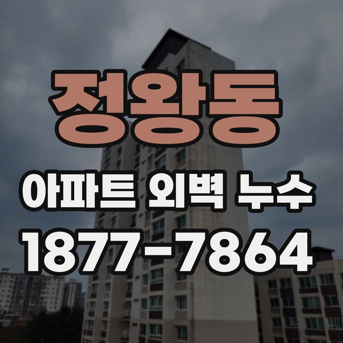정왕동 아파트 외벽 누수 보수 시 공사 방식별 특징