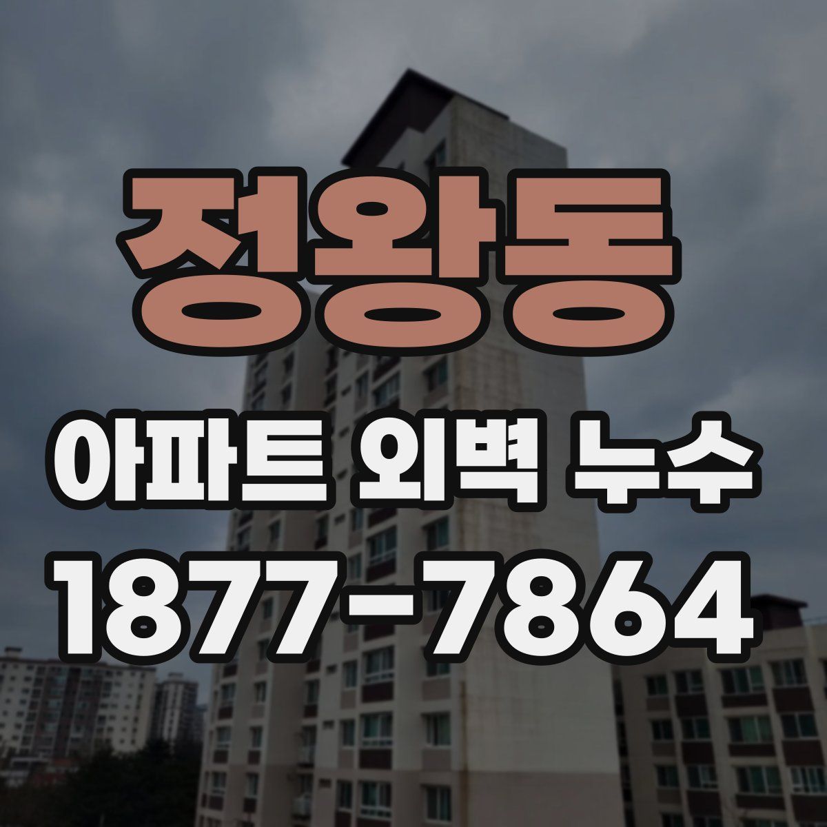 정왕동 아파트 외벽 누수