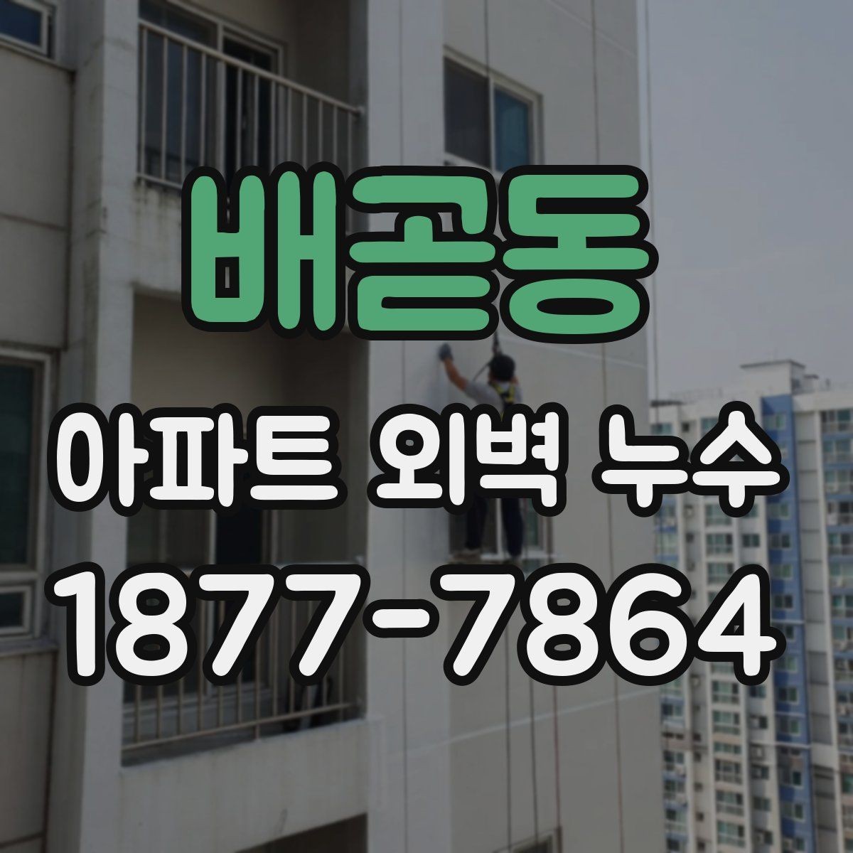 배곧동 아파트 외벽 누수 의심 구간을 찾는 실전 방법